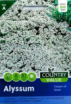 Alyssum Carpet Of Snow Seed